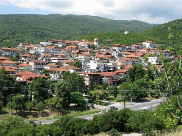 Apartments Erato Неос-Пантелеймонас Экстерьер фото