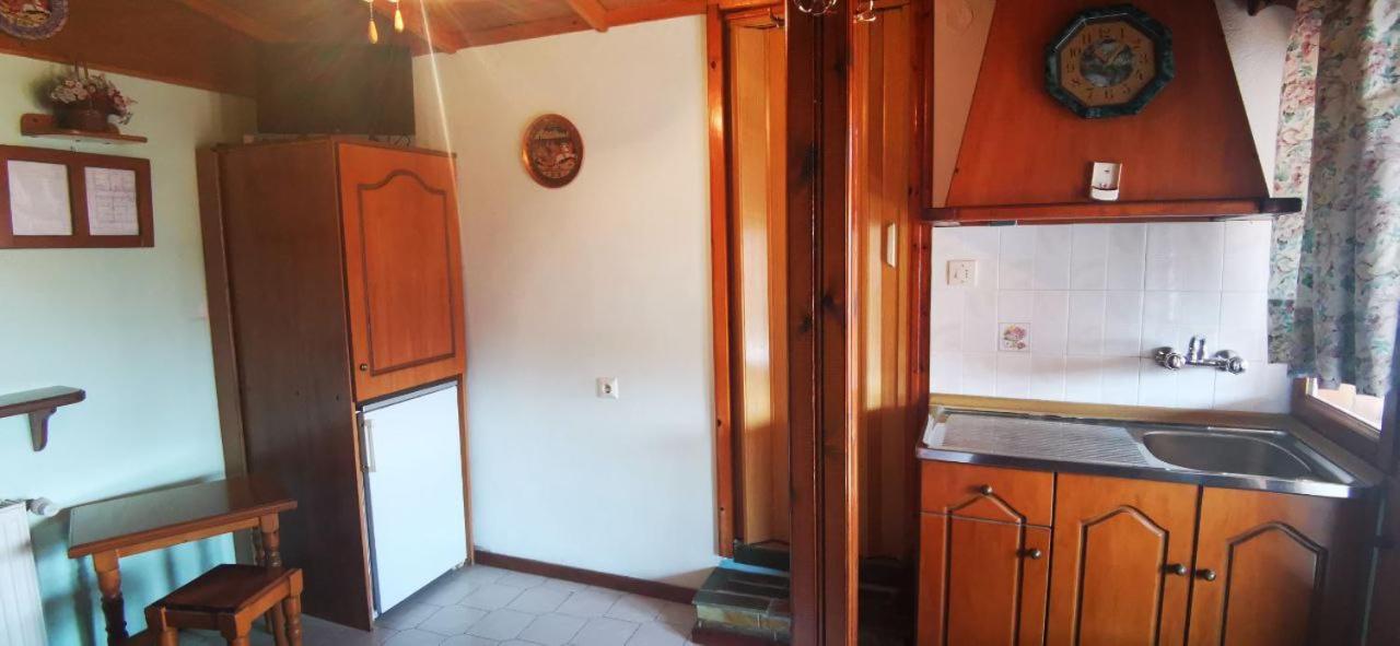Apartments Erato Неос-Пантелеймонас Экстерьер фото